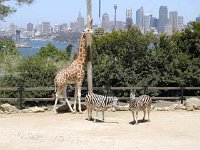 Taronga Zoo